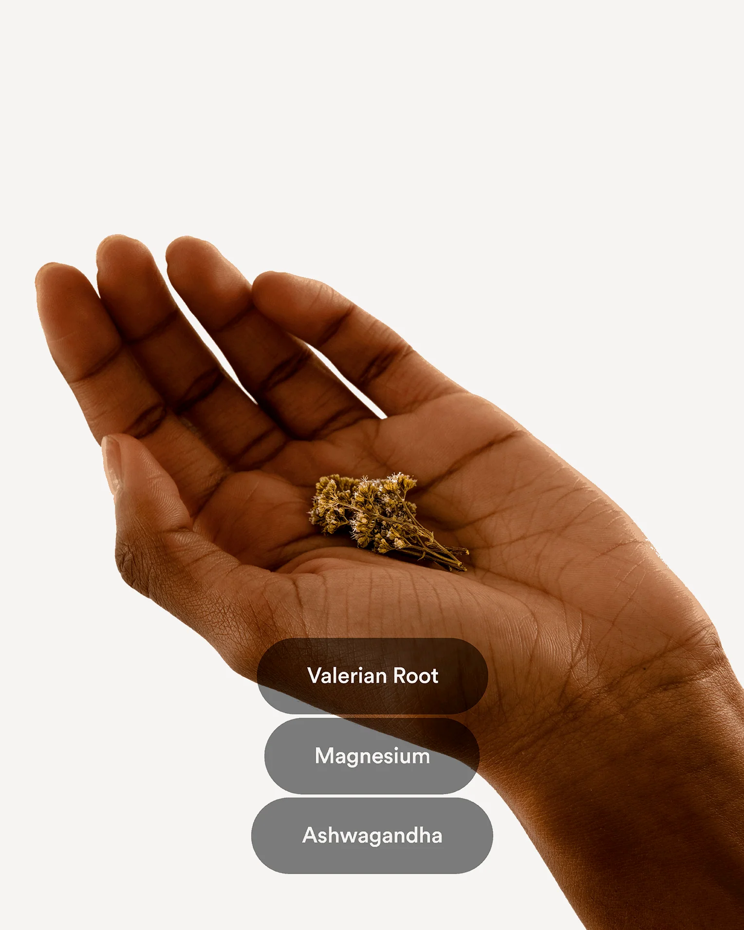 Dream Patches - Valerian Root - Image 4